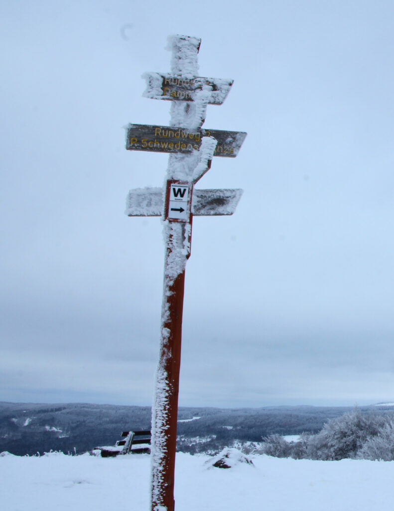Ein Wegweiser als Symbol für den stillen Wegweiser den introvertierte Führungskräfte werden sollten.