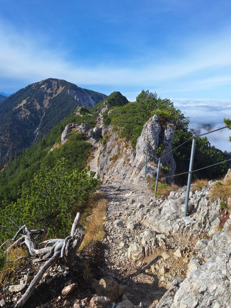 Schmaler Weg auf einem Bergrücken – symbolisiert die Gratwanderung zwischen Entscheidung und Zweifel.