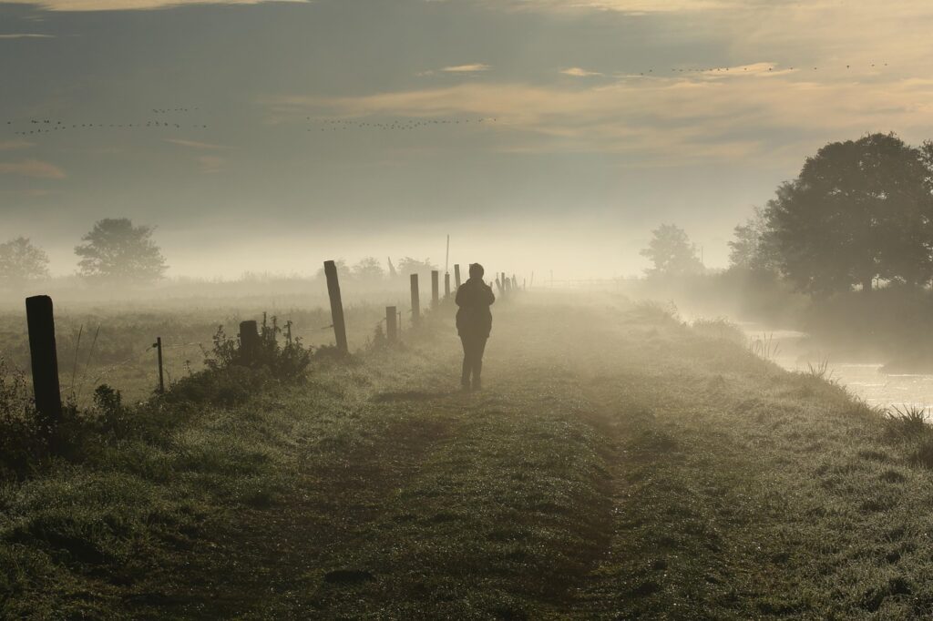 Ein stiller Wanderweg im Nebel – der Weg zeigt sich beim Gehen. Wie leise Führung mit Fokus und Vertrauen funktioniert.
